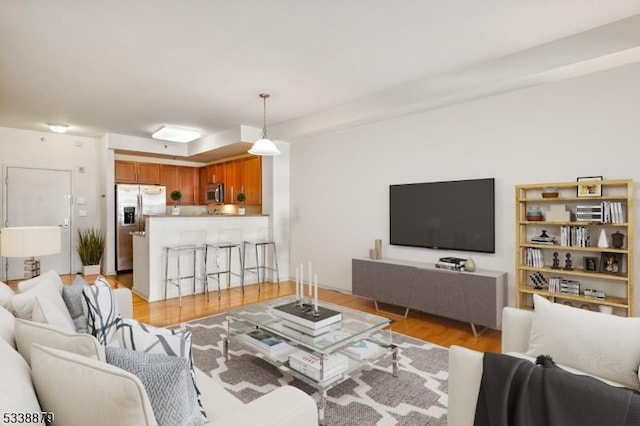 living room featuring light hardwood / wood-style flooring