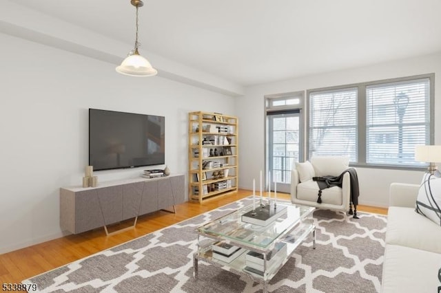 living room with light hardwood / wood-style floors