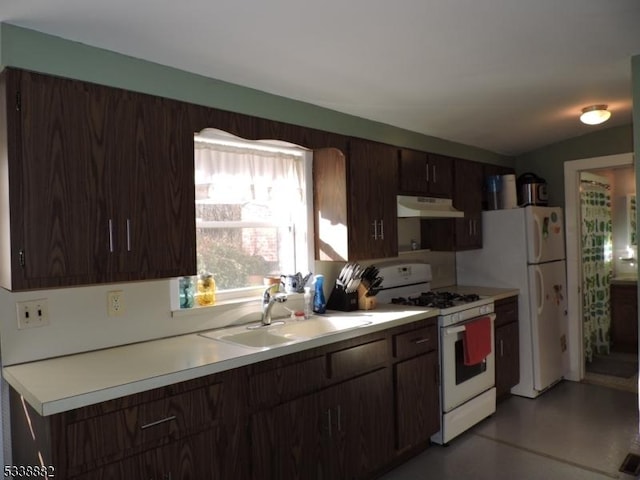 kitchen with light countertops, a sink, dark brown cabinets, white appliances, and under cabinet range hood