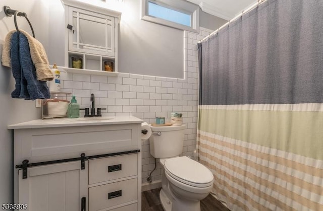 bathroom featuring wood-type flooring, toilet, tile walls, a shower with shower curtain, and vanity