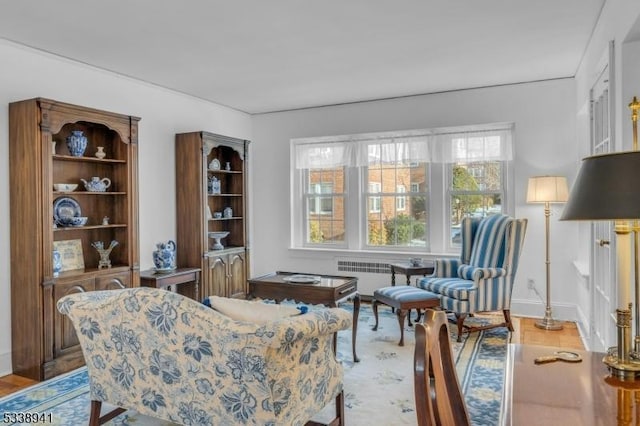 sitting room featuring light hardwood / wood-style floors