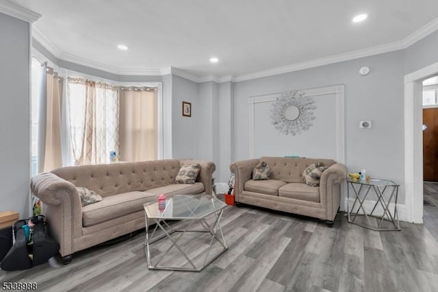 living room featuring hardwood / wood-style floors and ornamental molding