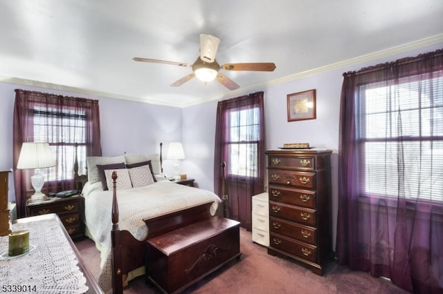 bedroom featuring ceiling fan, ornamental molding, and dark carpet