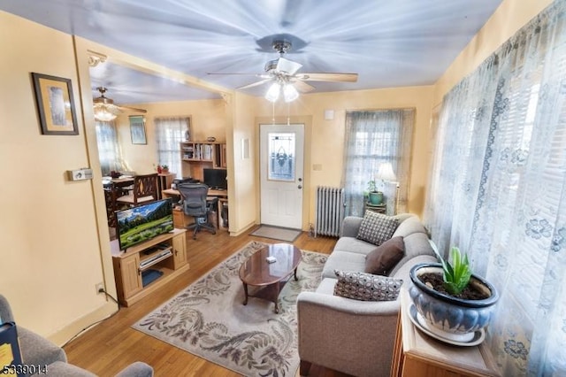 living area featuring ceiling fan, plenty of natural light, wood finished floors, and radiator