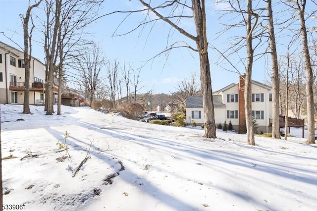 view of yard covered in snow