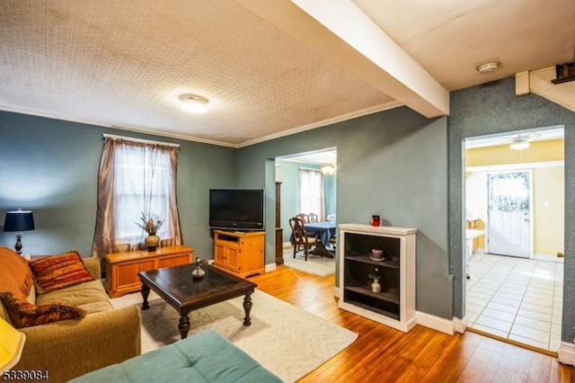 living room with hardwood / wood-style floors and ornamental molding