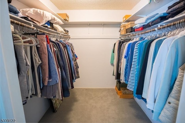 spacious closet with carpet flooring