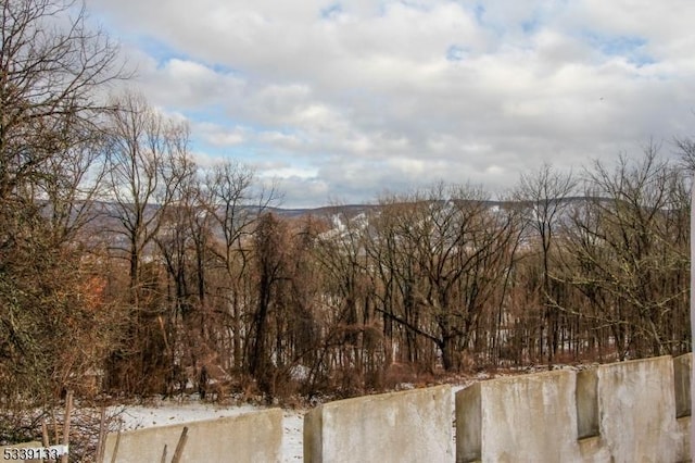 view of mountain feature