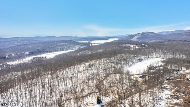 view of mountain feature