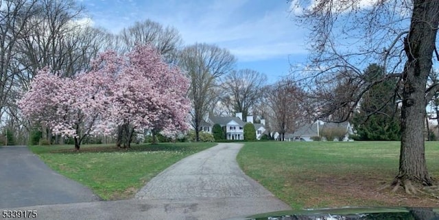 view of street with aphalt driveway