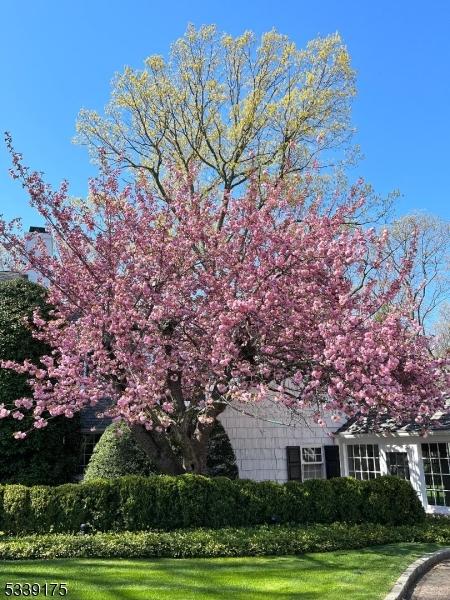 view of side of home with a yard