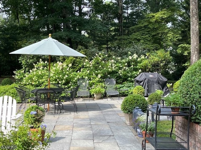 view of patio with outdoor dining space and a grill