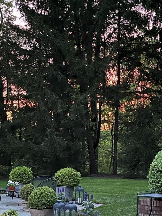 view of home's community with a yard and a patio