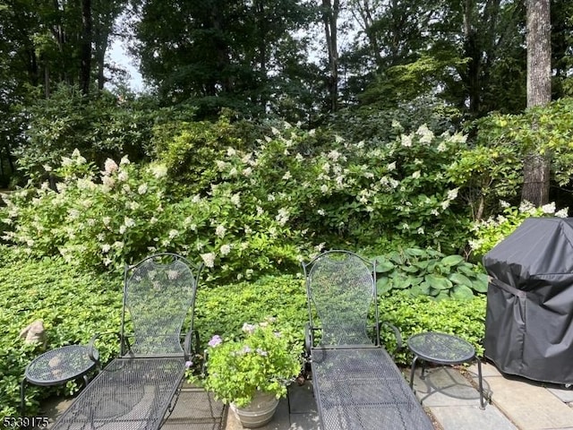 view of yard with a patio area