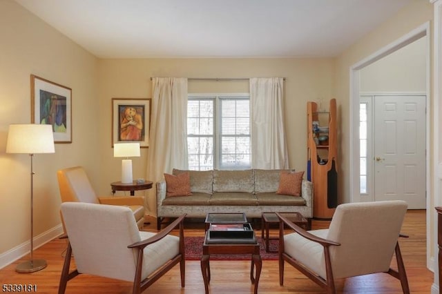 living room with hardwood / wood-style flooring