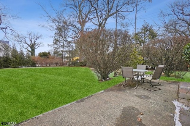 view of yard with a patio