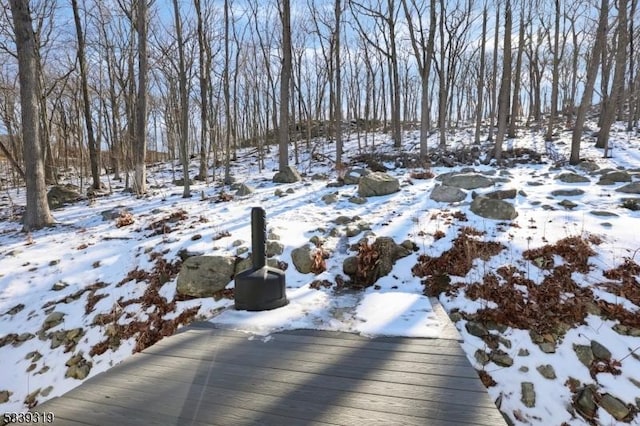 view of yard covered in snow