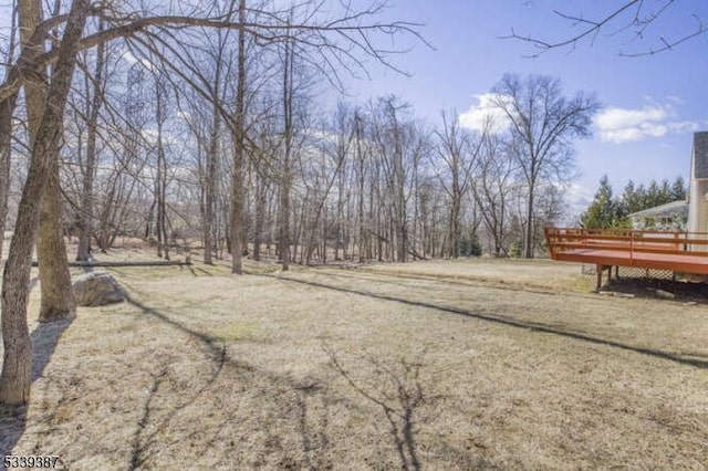 view of yard featuring a wooden deck