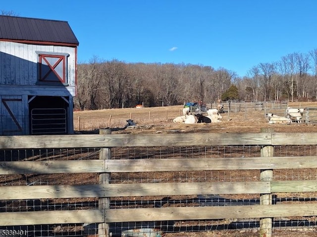 view of yard featuring an outbuilding, a forest view, and a rural view