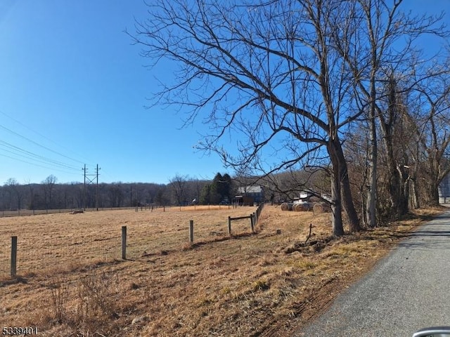 view of yard with a rural view