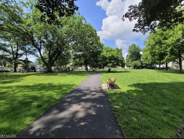 view of community with a yard