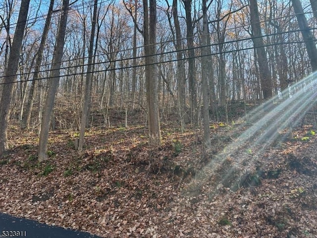 120 Mill Brook Rd, Franklin Twp NJ, 07882 land for sale