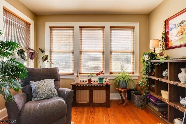 sitting room featuring radiator heating unit, a wealth of natural light, and wood finished floors