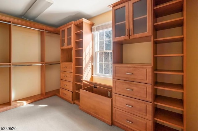 spacious closet featuring light carpet