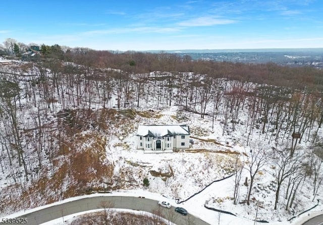 view of snowy aerial view