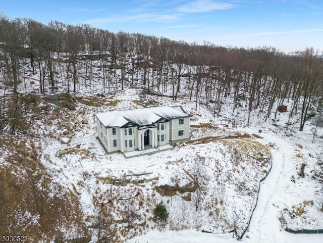 view of snowy aerial view