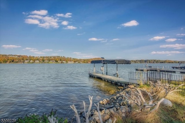 dock area featuring a water view