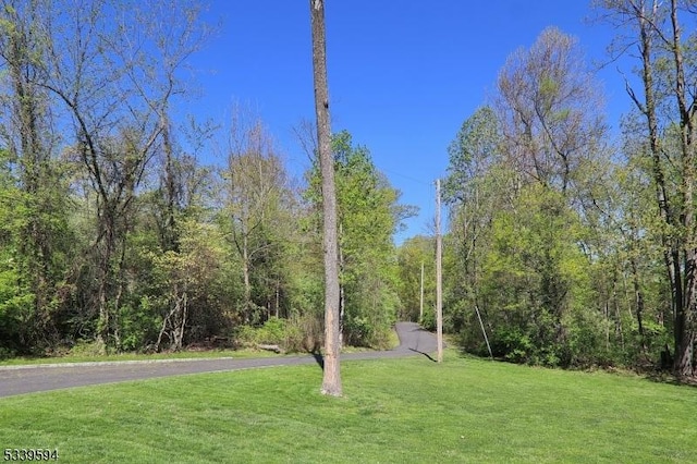 view of yard with a view of trees