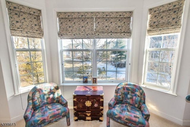 sitting room with a healthy amount of sunlight and baseboards