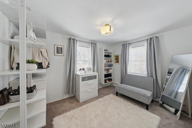 living area featuring light colored carpet and a healthy amount of sunlight