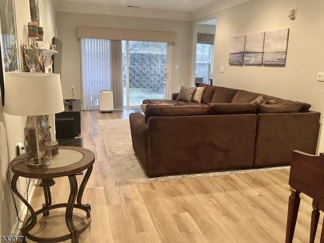 living area with ornamental molding and light wood-type flooring