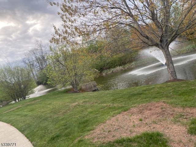 2104 Avery Ct Unit 2104, Franklin Twp, NJ 08873 - view of green lawn featuring a water view
