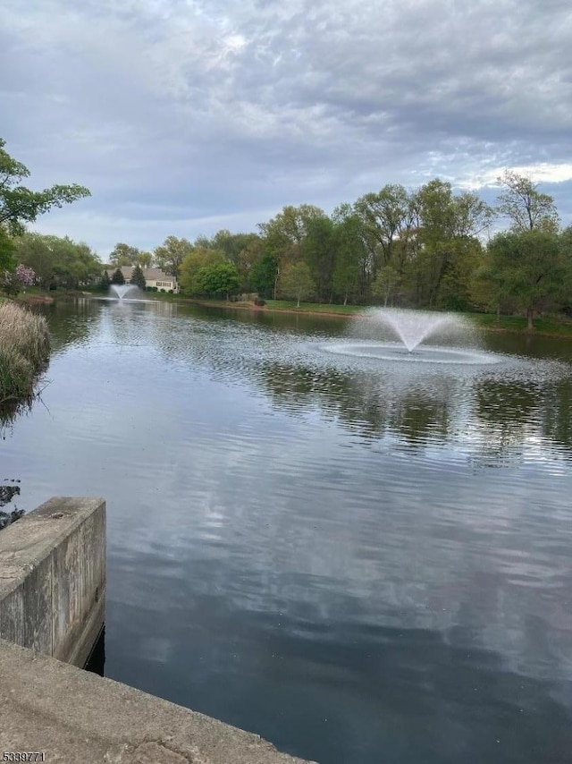 2104 Avery Ct Unit 2104, Franklin Twp, NJ 08873 - water view