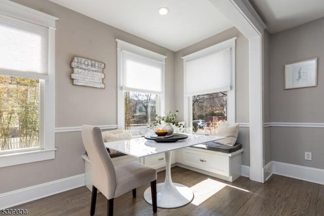 dining area with baseboards, plenty of natural light, breakfast area, and dark wood-style flooring