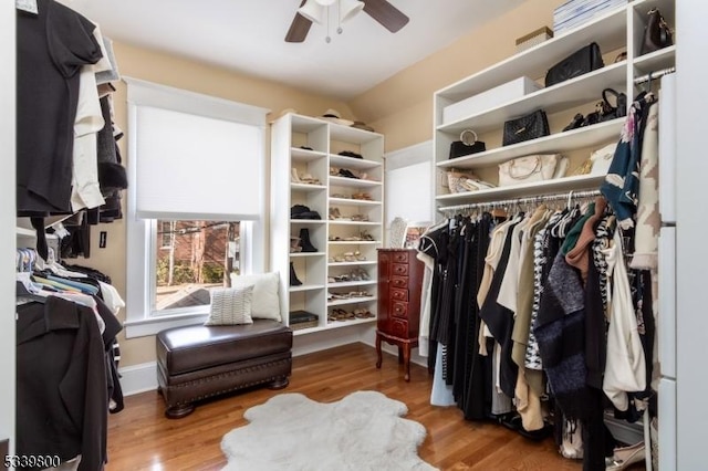 walk in closet featuring ceiling fan and wood finished floors