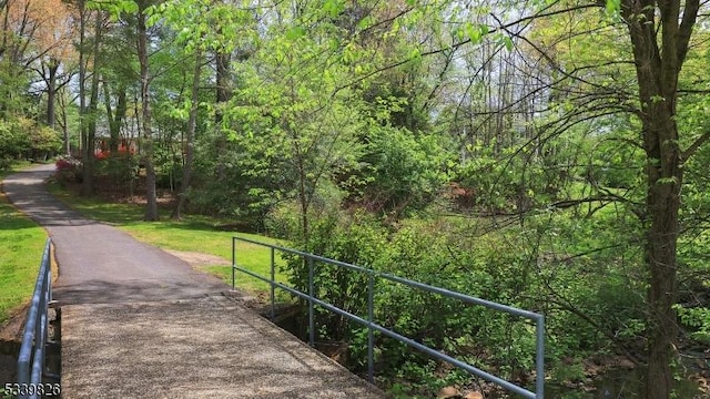 view of home's community with a wooded view
