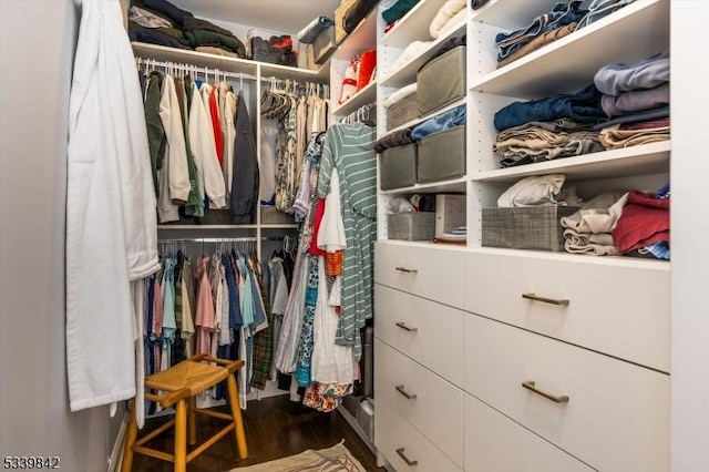 walk in closet featuring wood finished floors