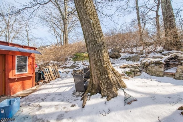 view of snowy yard