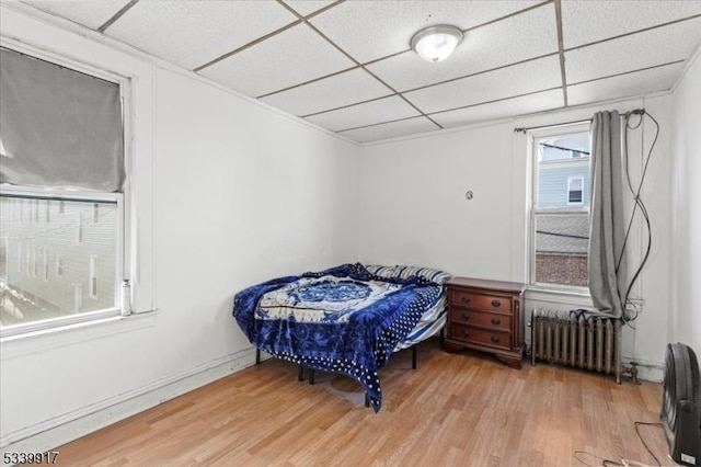 bedroom featuring radiator, a drop ceiling, and wood finished floors