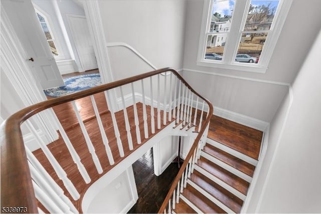 stairs featuring wood finished floors