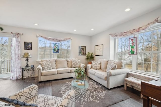 living area with wood finished floors and recessed lighting