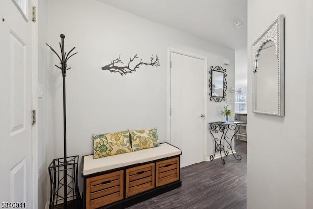 mudroom featuring dark wood-style flooring