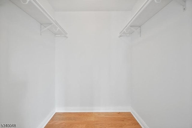 walk in closet featuring wood finished floors