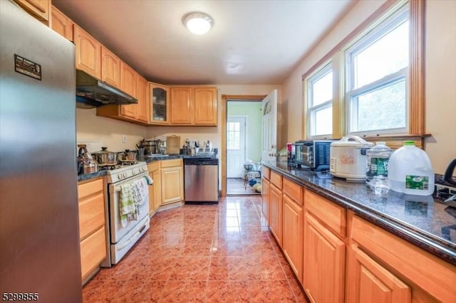 kitchen with appliances with stainless steel finishes, dark countertops, glass insert cabinets, and under cabinet range hood