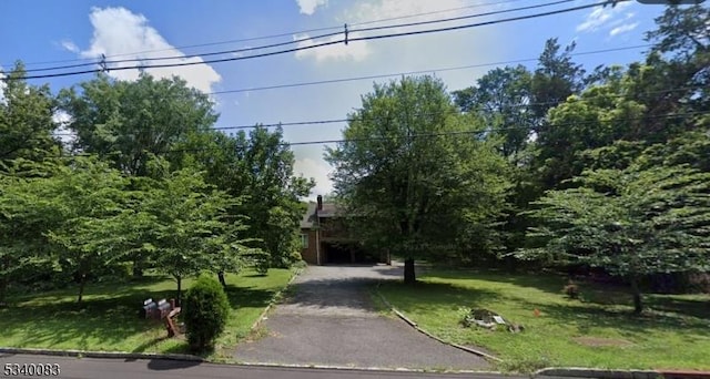 obstructed view of property with a front lawn