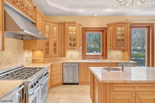 kitchen featuring under cabinet range hood, tasteful backsplash, stainless steel appliances, and a sink